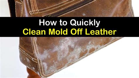 How to clean mould off on your leather bag 